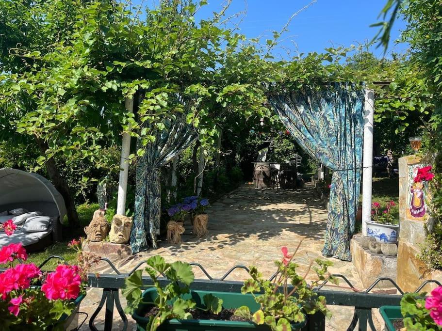 Casa A Boga Ribeira Sacra Villa Abeleda Exterior photo